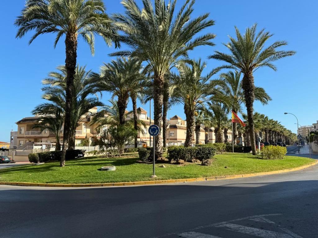 Sea-Esta Apartamento Guardamar del Segura Dış mekan fotoğraf